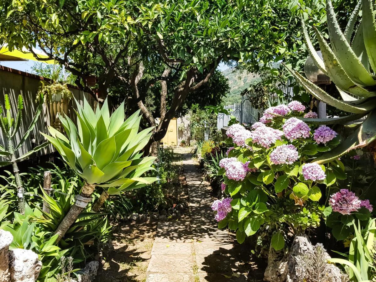 Villa Laria Tropea Extérieur photo