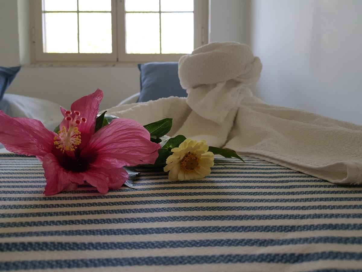 Villa Laria Tropea Extérieur photo