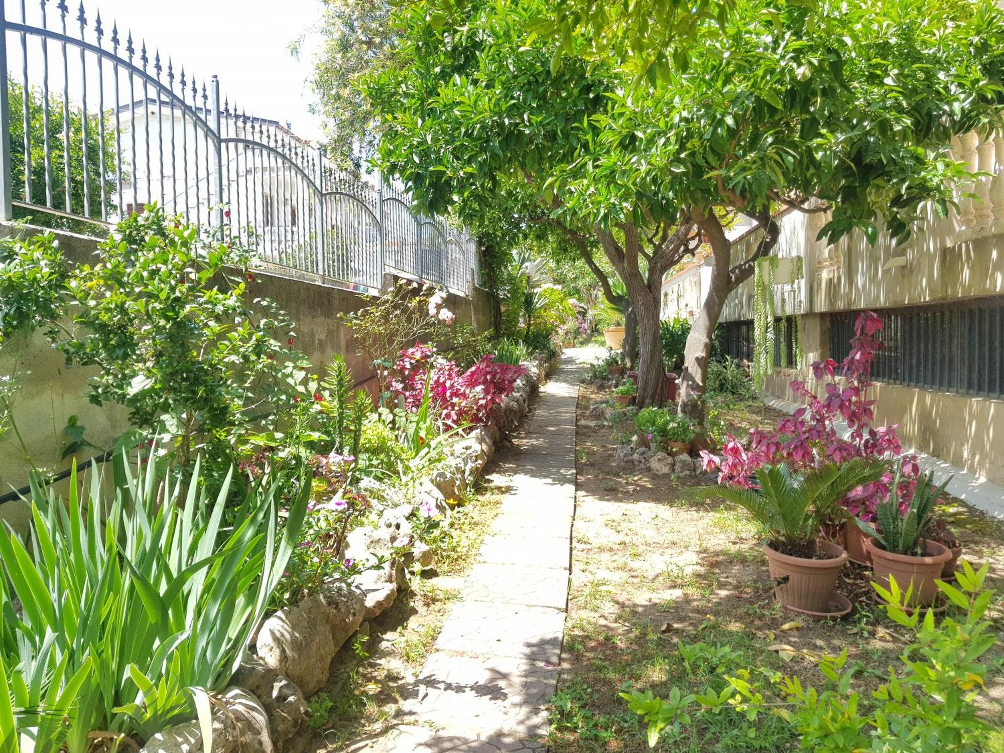 Villa Laria Tropea Extérieur photo